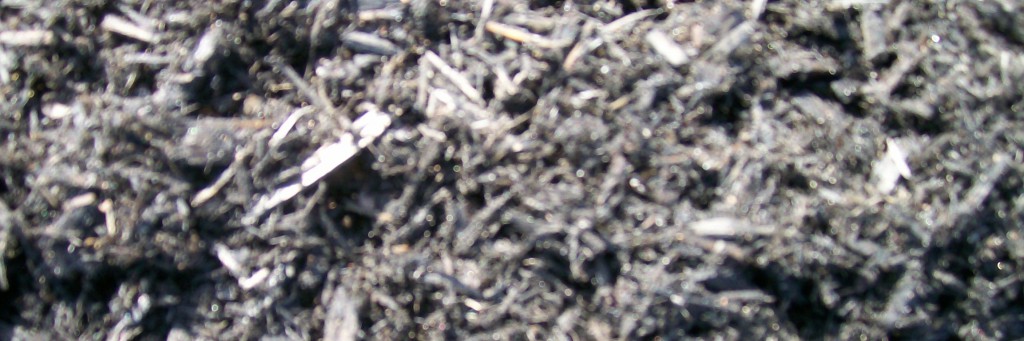 Black cedar mulch