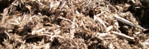 Natural cedar mulch