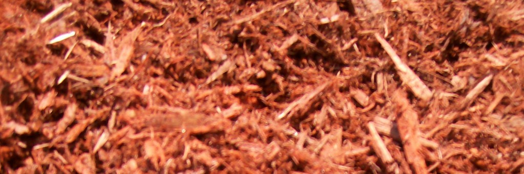 Red cedar mulch